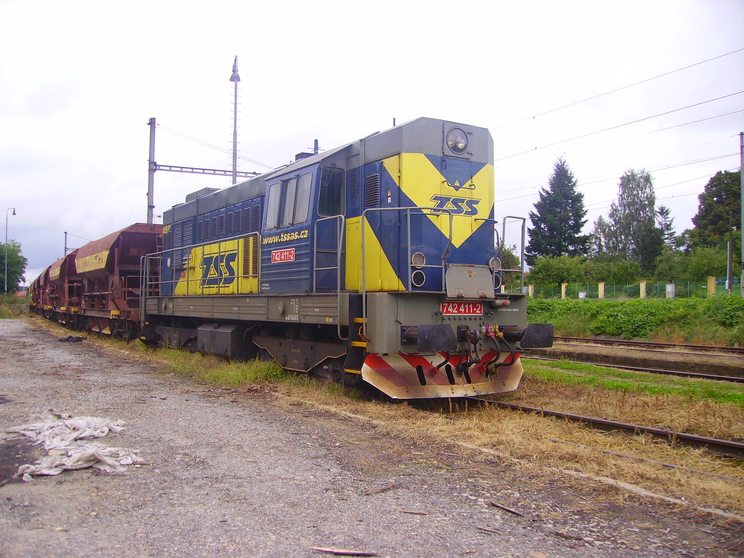 IMGP0984