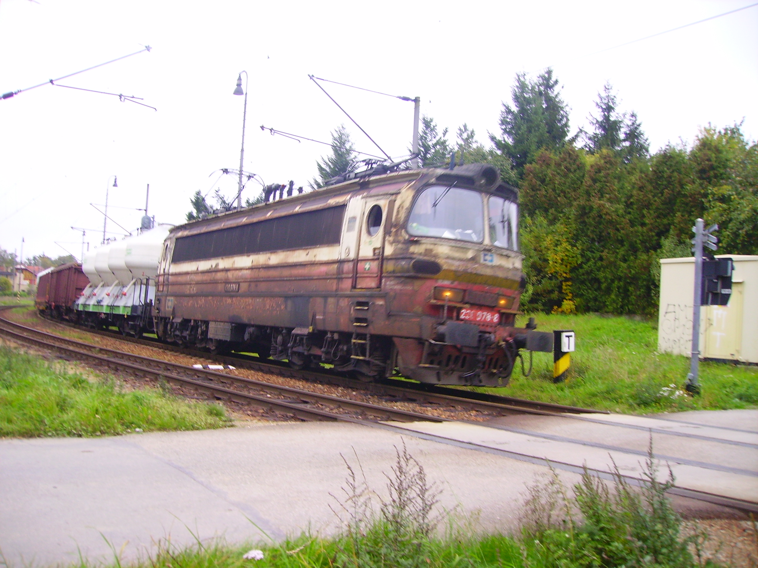 230(1)